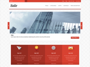 Sale Premium WordPress Theme