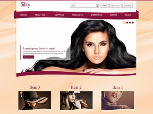 Silky Premium WordPress Theme
